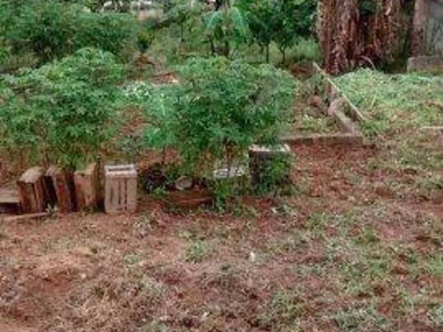 Imóveis à venda em São Joaquim de Bicas MG Imóvel em São Joaquim de Bicas