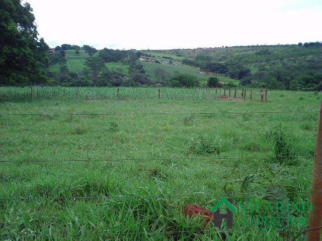 #846 - Fazenda para Venda em Caetanópolis - MG - 1