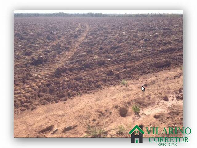 #1318V - Fazenda para Venda em Nova Brasilândia - MT - 1