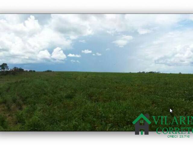 #1318V - Fazenda para Venda em Nova Brasilândia - MT - 2