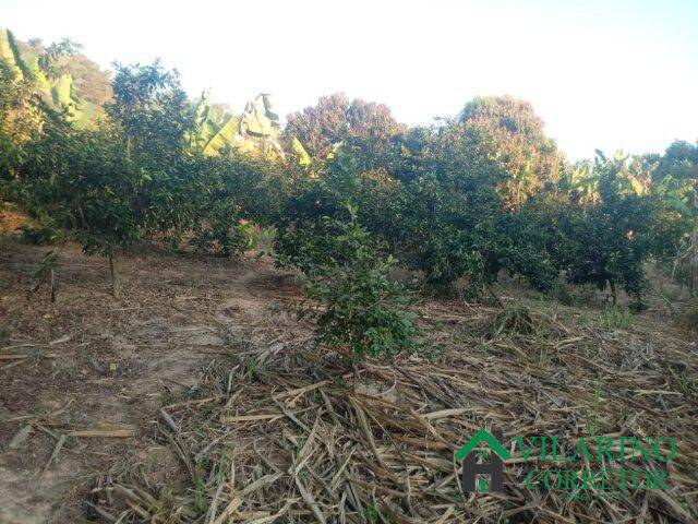 #2571 - Fazenda para Venda em Bom Jesus do Amparo - MG - 3