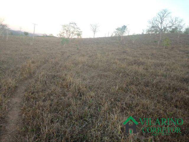 #2571 - Fazenda para Venda em Bom Jesus do Amparo - MG - 2