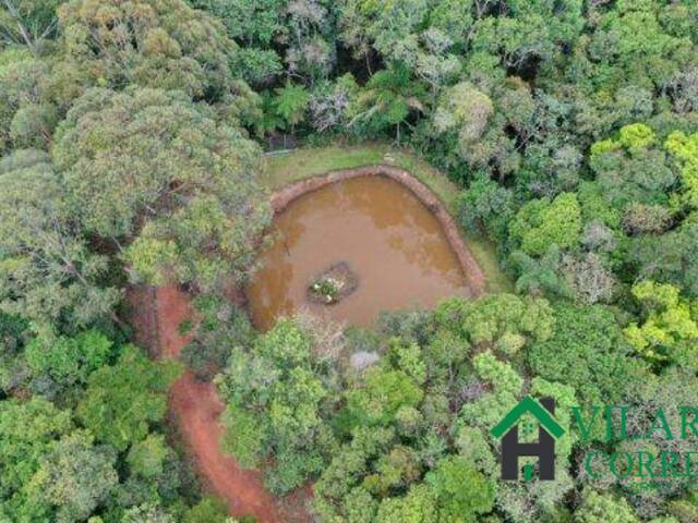 #2653 - Sítio para Venda em Rio Acima - MG - 2