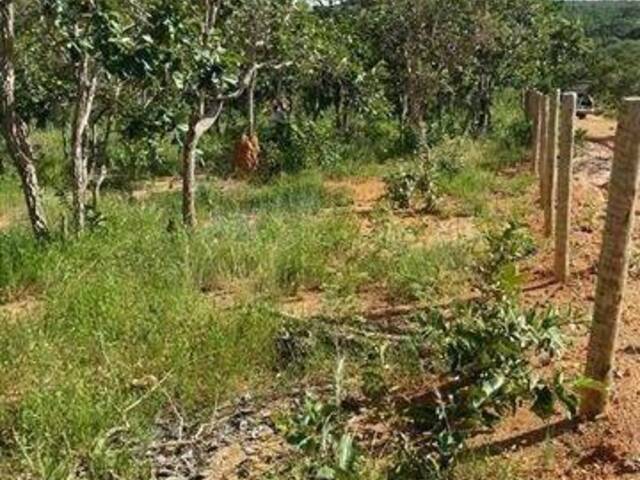 Sítio para Venda em Jaboticatubas - 5