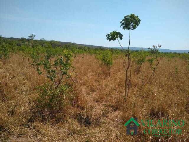 Haras para Venda em Bocaiúva - 4