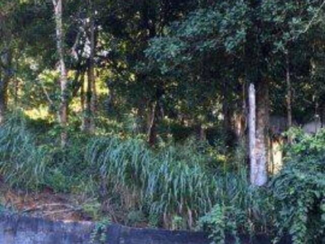 Área para Venda em Santa Cruz Cabrália - 4