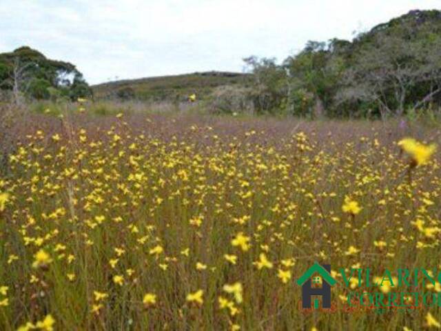 Terreno para Venda em Santana do Riacho - 5