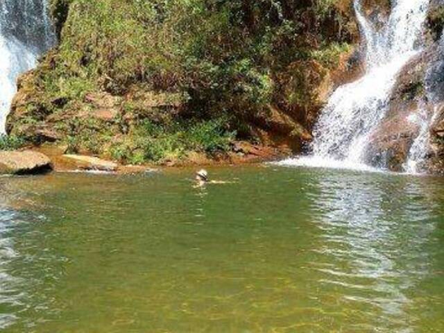 Sítio para Venda em Rio Acima - 5