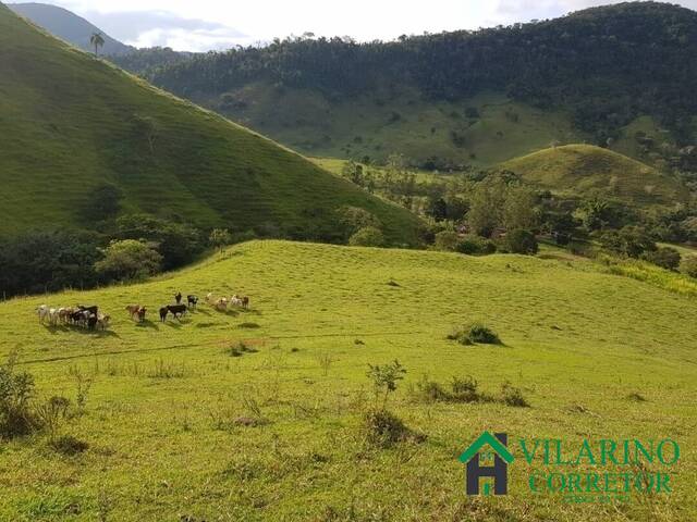 Fazenda para Venda em Ferros - 4