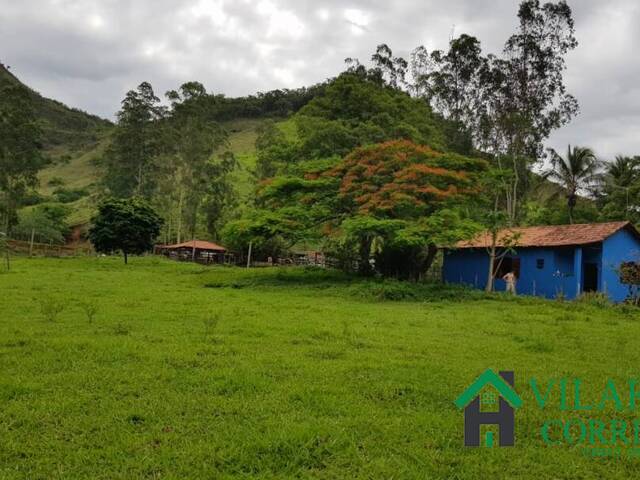 Castelo em fazenda de 40 acres com estábulo e pasto para gado está à venda  por mais de R$ 14 milhões nos EUA, Imóveis