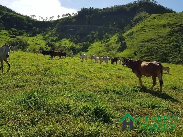 Fazenda para Venda em Ferros - 5