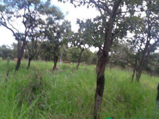 Sítio para Venda em Felixlândia - 4