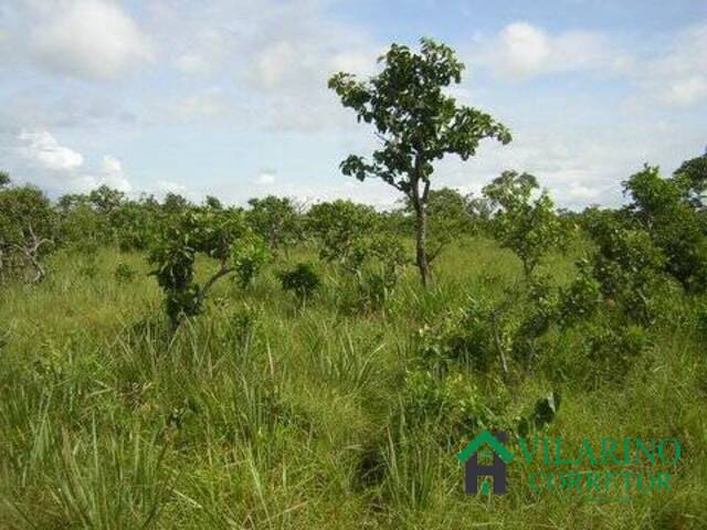 Fazenda para Venda em Nova Brasilândia - 5