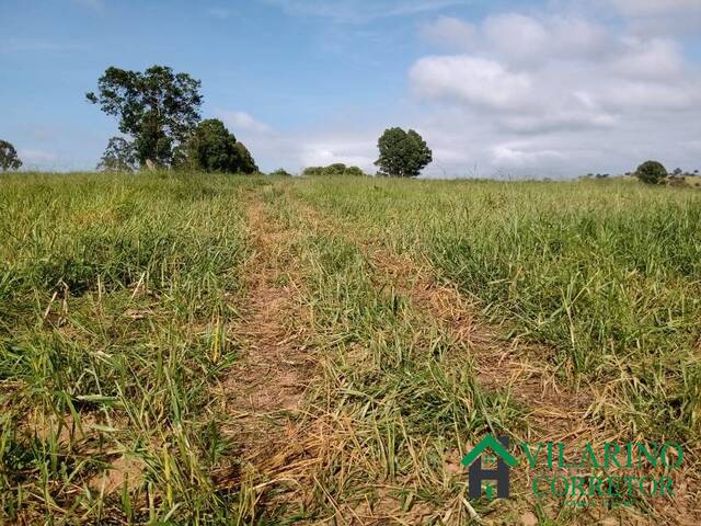 #3102 - Fazenda para Venda em Passa Tempo - MG - 2