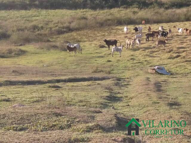 #3102 - Fazenda para Venda em Passa Tempo - MG - 3