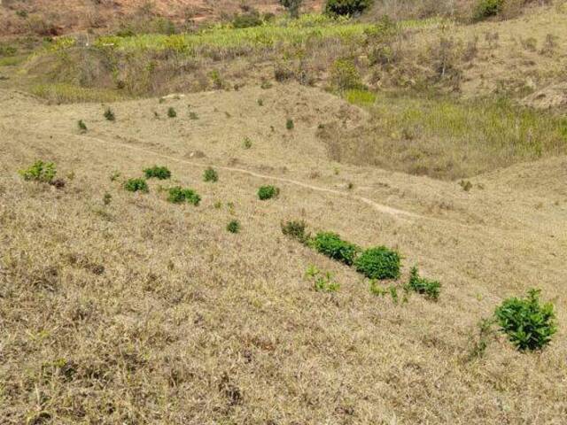 #3120 - Fazenda para Venda em Peçanha - MG - 1