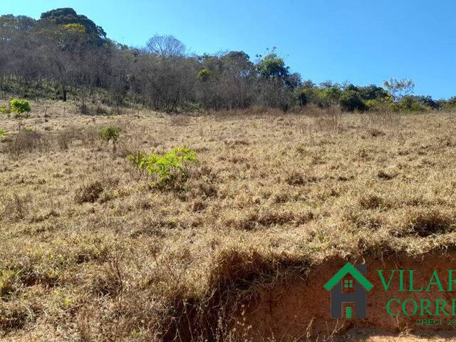 Fazenda para Venda em Peçanha - 4