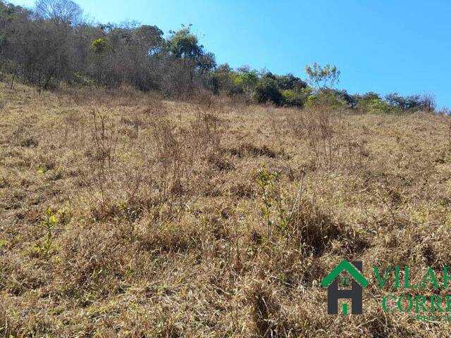 Fazenda para Venda em Peçanha - 5