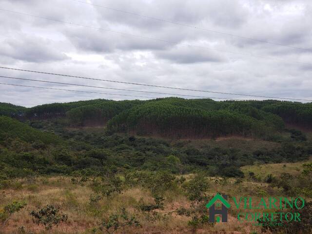 Fazenda para Venda em São Gonçalo do Abaeté - 4