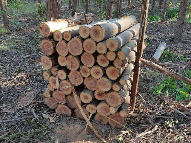 #3135 - Fazenda para Venda em São Gonçalo do Abaeté - MG - 2