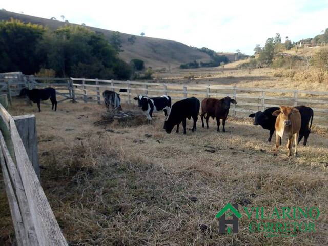 #3139 - Fazenda para Venda em Cambuí - MG - 1