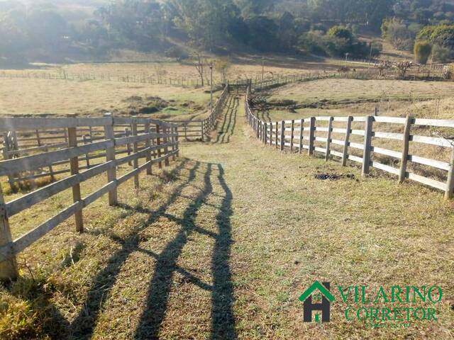 #3139 - Fazenda para Venda em Cambuí - MG - 3