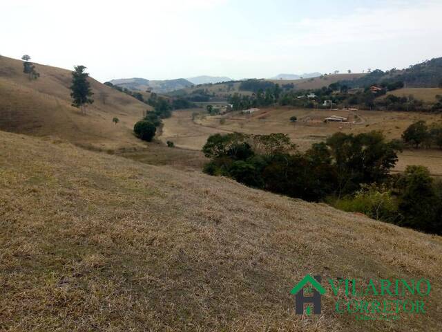 #3160 - Fazenda para Venda em Cambuí - MG - 2