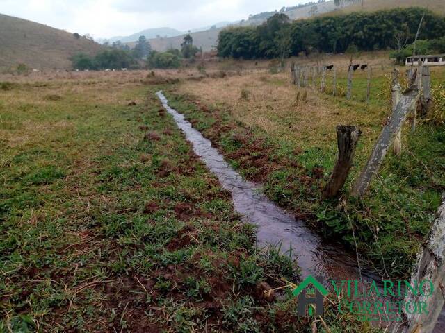 #3160 - Fazenda para Venda em Cambuí - MG - 1