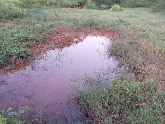 #3185 - Fazenda para Venda em Porto Firme - MG - 1