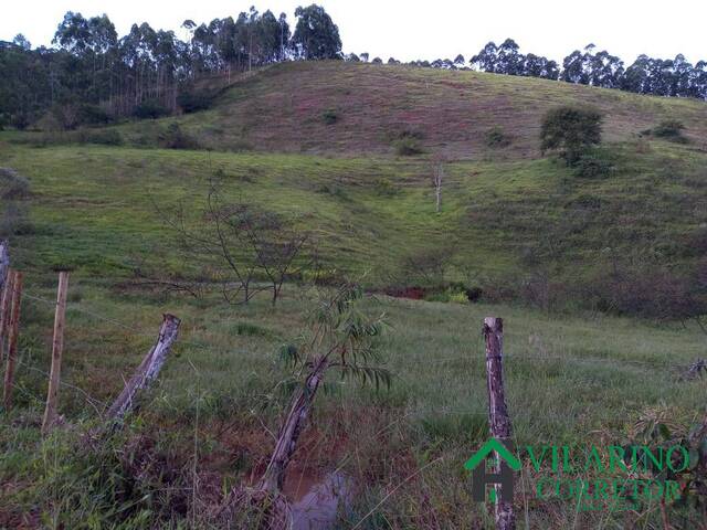 #3185 - Fazenda para Venda em Porto Firme - MG - 3