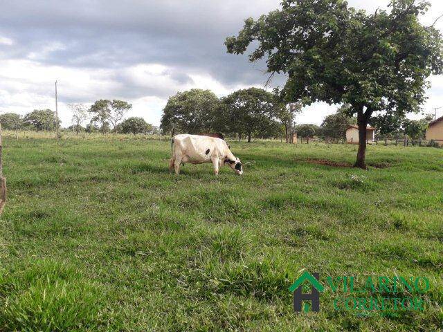 Fazenda para Venda em Caetanópolis - 5