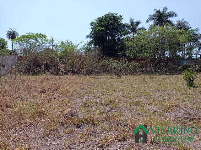 Lote para Venda em Belo Horizonte - 4