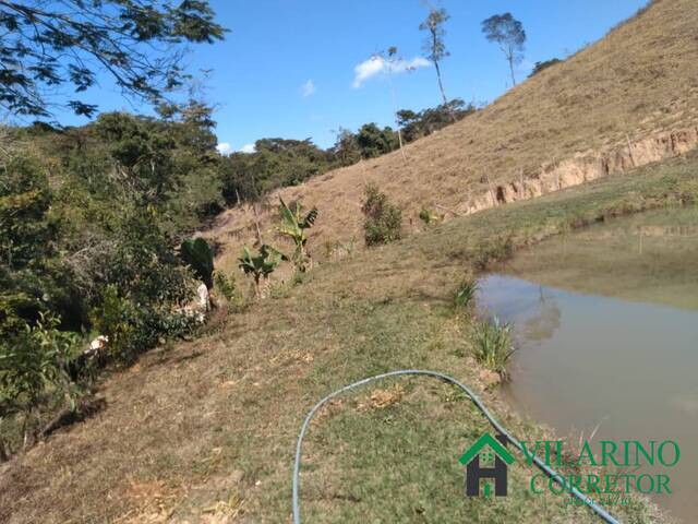 #3333 - Fazenda para Venda em Itambé do Mato Dentro - MG - 3