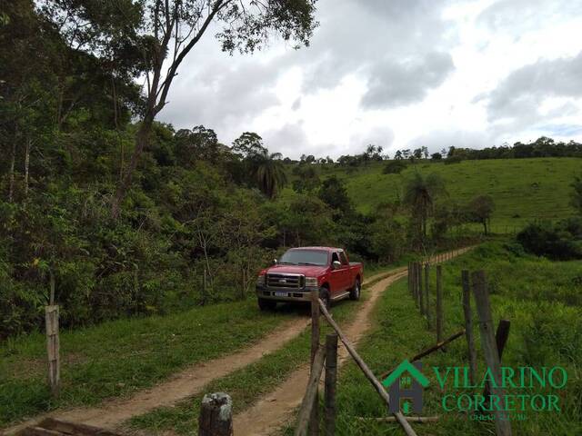 #3334 - Fazenda para Venda em Caeté - MG - 2