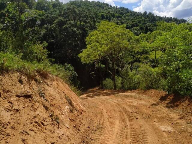 #3418 - Área para Venda em Bom Jesus do Amparo - MG - 1