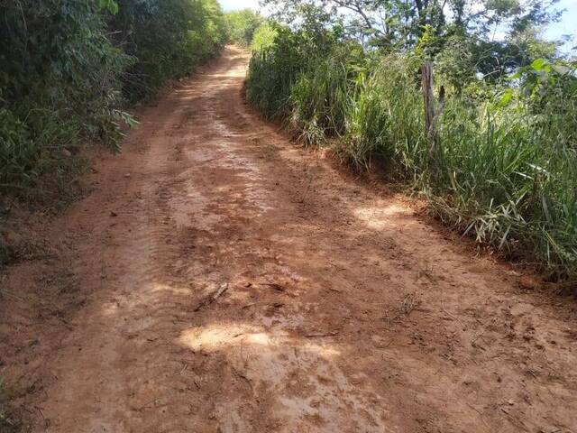 #3418 - Área para Venda em Bom Jesus do Amparo - MG - 2