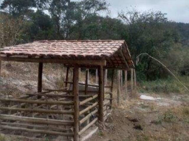 Sítio para Venda em Caeté - 4
