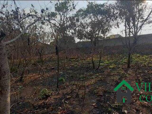 Lote para Venda em Matozinhos - 5