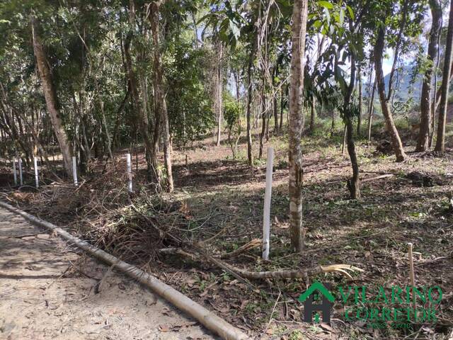 #3505 - Lote para Venda em Bom Jesus do Amparo - MG - 2