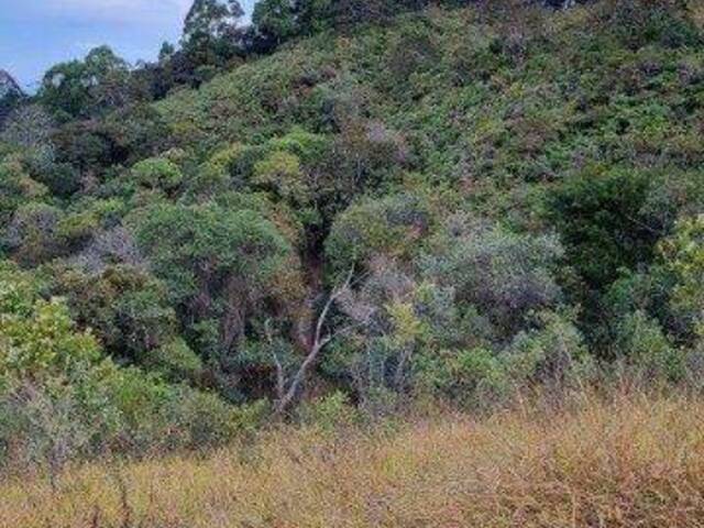 Sítio para Venda em Caeté - 5