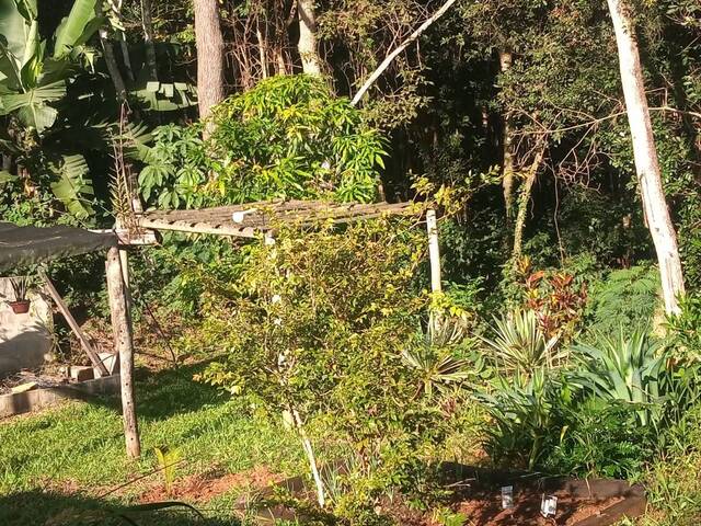 Venda em Mirante - Caeté