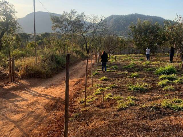 #3545 - Área para Venda em Mateus Leme - MG - 3