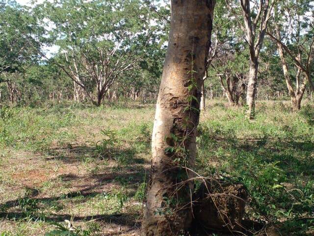 #3542 - Fazenda para Venda em Cláudio - MG - 1