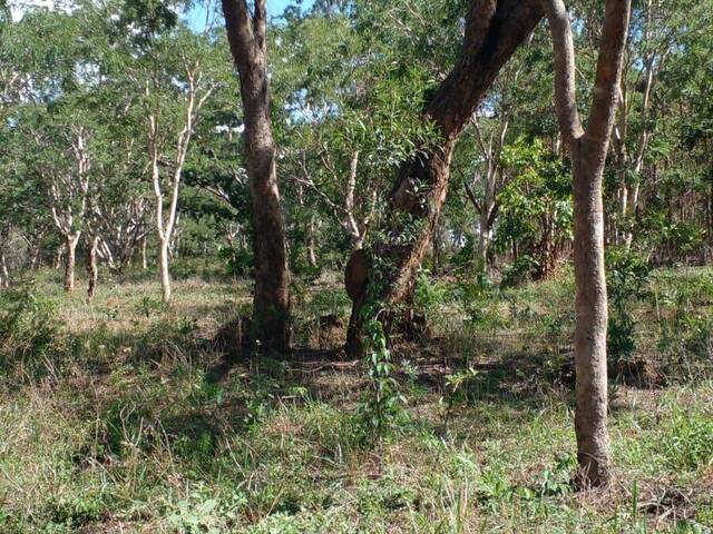 Fazenda para Venda em Cláudio - 5