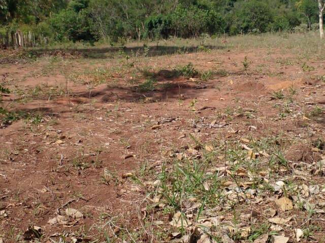 Fazenda para Venda em Cláudio - 4