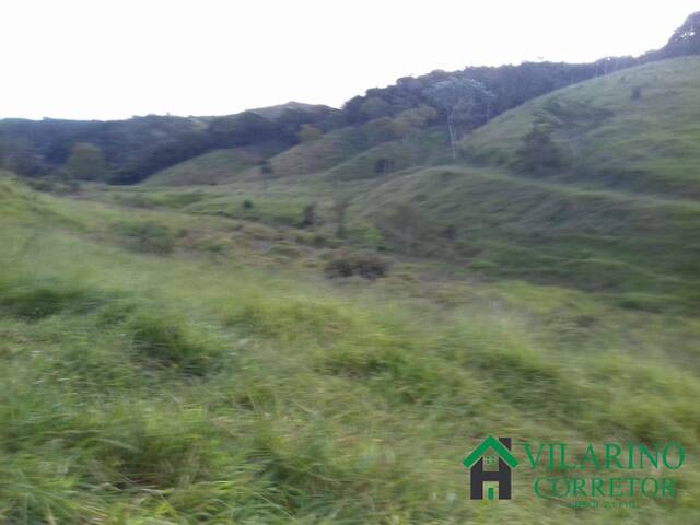 Fazenda para Venda em Carmésia - 5