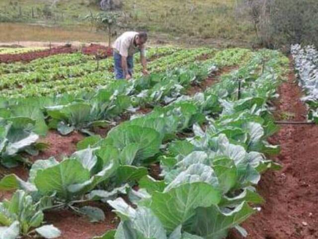 Sítio para Venda em Caeté - 4