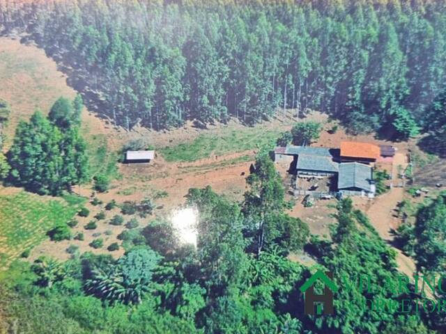 #3616 - Fazenda para Venda em São Pedro do Suaçuí - MG - 2