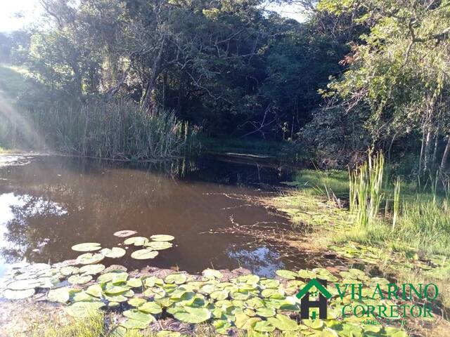 #3633 - Fazenda para Venda em Itaguara - MG - 1