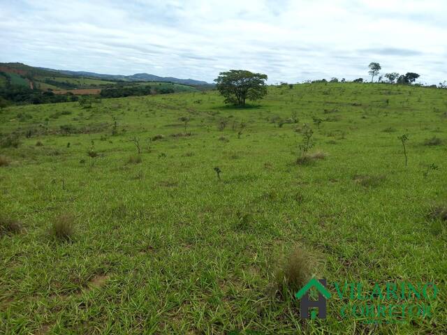 #3634 - Fazenda para Venda em Passa Tempo - MG - 3